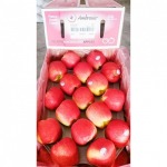 แอปเปิ้ล - ร้าน จำหน่ายผลไม้นำเข้า ตลาดไท -  ฉ.ฮั้ว