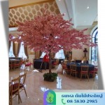 บริการเช่าต้นไม้ปลอม  - รับจัดสวนต้นไม้ปลอม - บริษัท เอนเกรท อินเตอร์เนชั่นแนล จำกัด