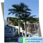 ต้นไม้ปลอมขนาดใหญ่ - รับจัดสวนต้นไม้ปลอม - บริษัท เอนเกรท อินเตอร์เนชั่นแนล จำกัด