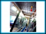 Somchai Aluminium Co Ltd