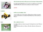 บริษัท เทียน เหยียน แมชีนเนอรี่ เอ็มเอฟจี (ประเทศไทย) จำกัด