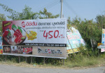 แบนเนอร์ - ใบเฟิร์นโฆษณา
