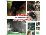 บริษัท โกลบอล คลีนนิ่ง เซอร์วิส จำกัด