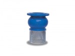 Foot Valve - Overall System Co Ltd