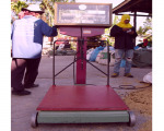 เครื่องชั่งดิจิตอล พร้อมเครื่องพิมพ์ - Nguan Heng Lee Truck Scale