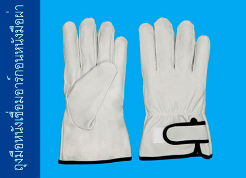Raja Glove Co Ltd