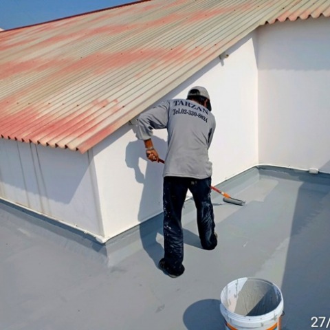 Trazan Building Co Ltd