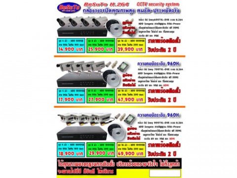 เพชรพาลี บุรีรัมย์