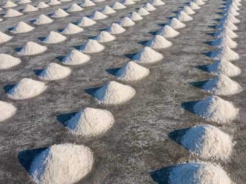 เกลือสมุทร รุ่งธารา