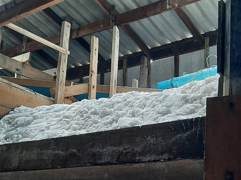 เกลือสมุทร รุ่งธารา