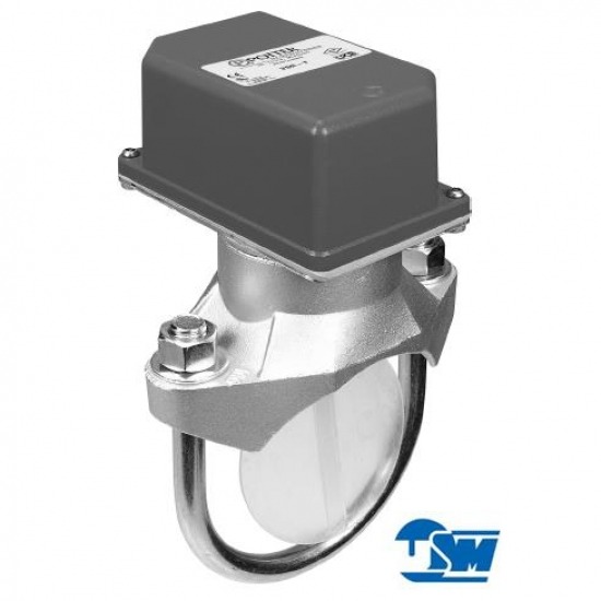 จําหน่าย flow switch flow switch 