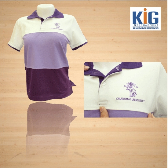 เสื้อยืดพร้อมปักโลโก้ ภาคอีสาน เสื้อยืดพร้อมปักโลโก้ ภาคอีสาน 