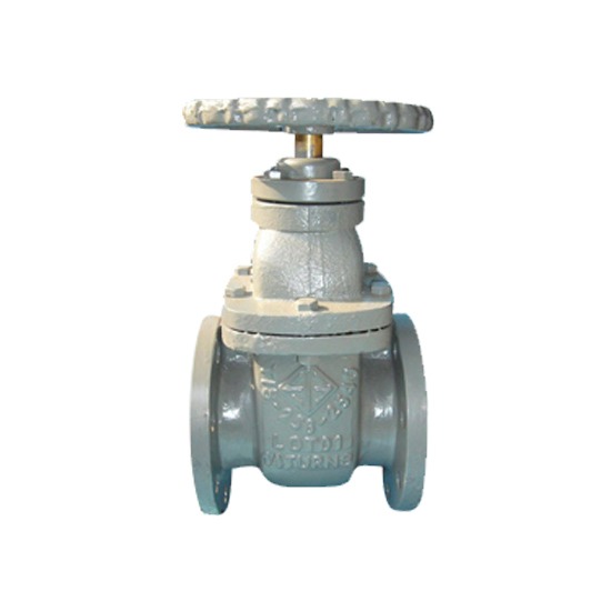 ประตูน้ำ