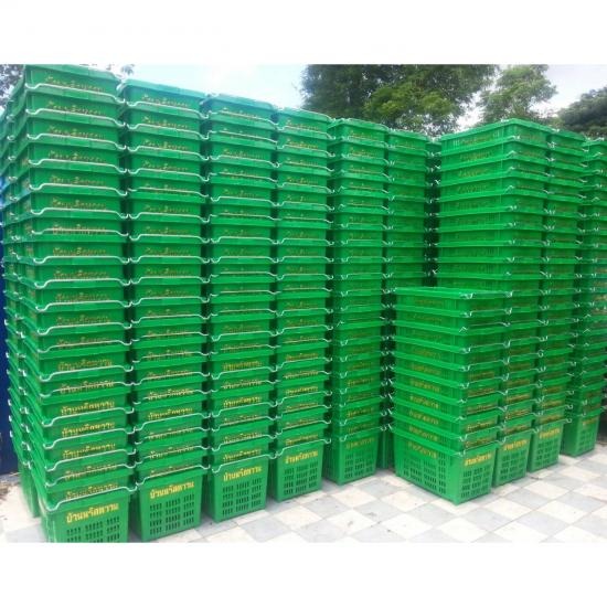 ลังผลไม้พลาสติก เชียงใหม่ ลังผลไม้พลาสติก เชียงใหม่  ลัง 