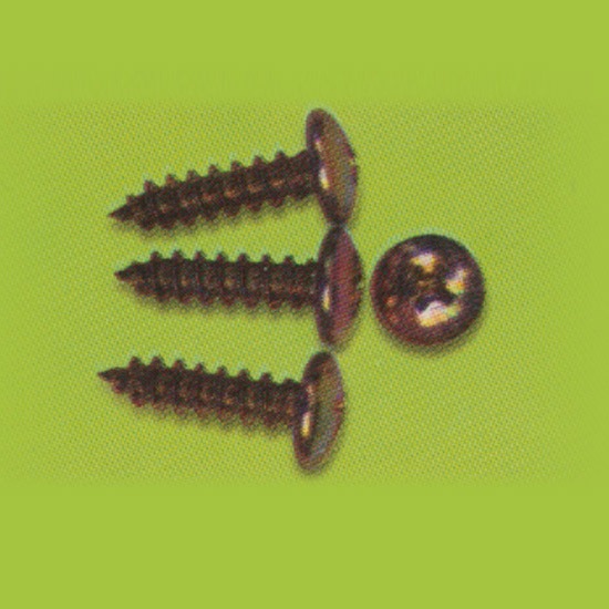 ผู้นำเข้าสกรูปลาย สว่านคุณภาพสูง สกรูปลาย   สว่านคุณภาพสูง   สว่าน   สกรู 