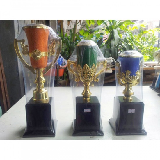 ถ้วยรางวัลพลาสติก จำหน่ายถ้วยรางวัล  ขายถ้วยรางวัลพลาสติก  ผลิตถ้วยรางวัลพลาสติก 