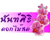 นันท์ศิริ ดอกไม้สด