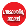 ห้างหุ้นส่วนจำกัด นางรองเจริญยางยนต์ 