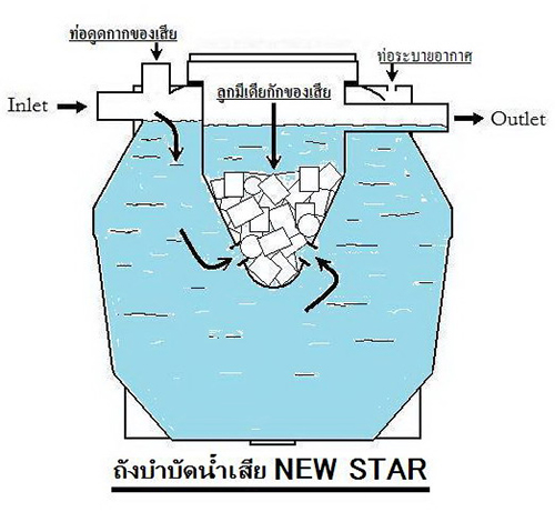 i2.jpg