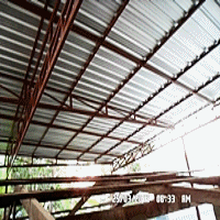 111155545.gif