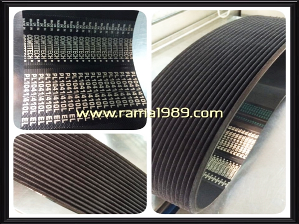 สายพาน Multi Rib Belt.jpg