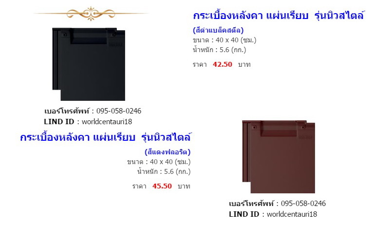 แทรกกระเบื้องหลังคา4.jpg
