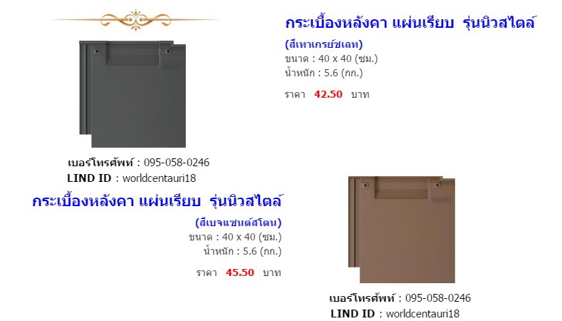 แทรกกระเบื้องหลังคา5.jpg